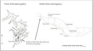Redefining Shared Symbolic Networks During The Gravettian In Western Europe New Data From The Rock Art Findings In Aitzbitarte Caves Northern Spain