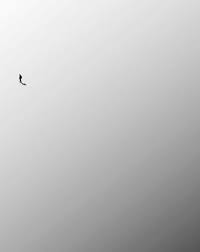 Desain poster dari atelier martino & jaña ini menggabungkan tipe dan gambar dengan cara yang cair dan alami, dengan memanfaatkan kurva dan kontur gambar. Jepretan Hitam Putih Yang Memukau Jutaan Pasang Mata