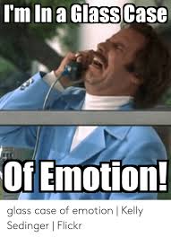 On this episode of the glass case of emotion, ryan blaney is joined by kim coon and chuck bush to talk about the rain and race so far. I M In A Glass Case Of Emotion Temoioi Glass Case Of Emotion Kelly Sedinger Flickr Flickr Meme On Me Me