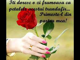 Cu toții vă apreciem și vă iubim foarte mult și de aceea vă felicităm și vă dorim sincer ca îngerii buni să vă aducă mai multă dragoste și mai mult noroc, sănătate puternică și dispoziție însorită! La Multi Ani Surioara By Cristian Terefliuc