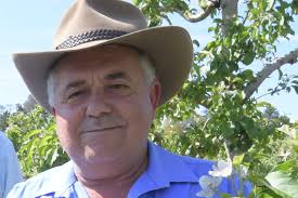 Orange cherry grower Guy Gaeta confident for 2020 season