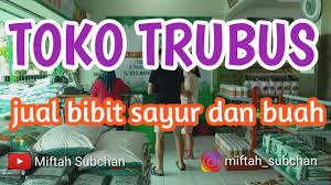 Silahkan kunjungi web kami untuk informasi lebih lengkap. Toko Trubus L Jual Bibit Tanaman Sayur Dan Buah Youtube