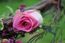 Picnic tables are provided on site for your convenience. Picnic Flowers The Smell Of Roses The Smell Of Roses