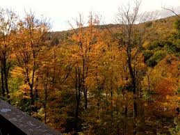 Profile for Martha Hendrick, Principal Broker