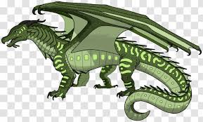 She has a warm orange underbelly, which slowly fades into gold. The Dragonet Prophecy Wings Of Fire Toothless Clay Tortoide Transparent Png