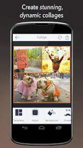 Expect more from kpix 5 Befunky Photo Editor Pro V 6 3 1 Apk Paid Apk Pro