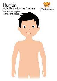 Check spelling or type a new query. Human Body Systems For Kids Free Printables Homeschooling 123 Kids Fun Apps
