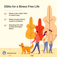 Finding an organization is one of the easiest ways you can get an emotional support animal. 11 Ways An Emotional Support Animal Can Help In Treatment Of Depression Esa Care