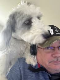 Affordable dog sitter for Sheepadoodle in Snohomish?