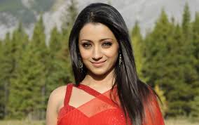 trisha krishnan lifestyle wiki net worth income salary