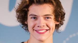 Hasil gambar untuk harry styles