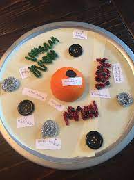 Animal cells differ from plant cells because the plant cell has a cell wall and chloroplasts and the animal cell does not have these organelles. Animal Cell Project Animal Cell Project Cells Project Cell Model Project