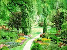 Tevens zijn wij de berkat specialist. Free Download Sun Shines Beautiful Flower Garden Wallpapers 1024x768 For Your Desktop Mobile Tablet Explore 75 Flower Garden Background Free Garden Wallpaper Backgrounds Garden Screensavers And Wallpaper Beautiful Flower Garden Wallpapers