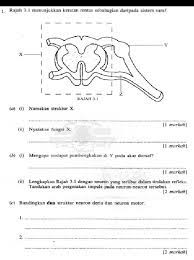 Bab 1 pengenalan kepada biologi. Latihan Topikal Biologi Tingkatan 5 Bab 3
