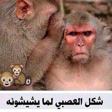 Jun 13, 2021 · صور| نجوى كرم تتألق في السعودية انشر عبر الفيسبوك طباعة ارسل لصديق أخبار رياضة وشباب فنانين رأي حر اسواق العرب سيارات صحة مطبخ سياحة ابراج شباب وصبايا اولاد ثقافة جنسية كوكتيل مجتمع ستايل. ØªØ­Ù…ÙŠÙ„ ØµÙˆØ± Ù…Ø¶Ø­ÙƒØ© Ø§Ø¬Ù…Ù„ Ø§Ù„ØµÙˆØ± Ø§Ù„Ù…Ø¶Ø­ÙƒÙ‡ Ø¹Ø¨Ø§Ø±Ø§Øª