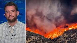 Forest Firings: Trump Admin Aims to “Break the Forest Service,” Nearly 200 Million Acres at Stake