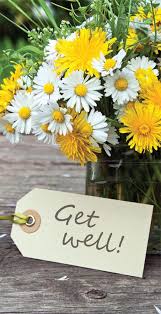 We did not find results for: Get Well Flowers Card Get Well By Brookhollow