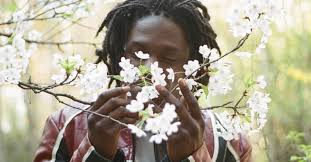 It includes guest appearances from kali uchis, h.e.r., syd, charlotte day wilson and sean leon. Daniel Caesar Announces Freudian With A Tender Music Video The Fader
