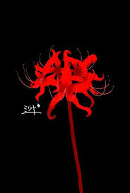 Imagery of red spider lilies from tokyo ghoul, season 1 episode 12. Pin By Crazy Moffy On Tokyo Ghoul Tokyo Ghoul Wallpapers Tokyo Ghoul Flower Tokyo Ghoul