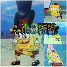 If you have a spongebob pfp you are an automatic g tagging any i find, please tag any below gang: A New Pfp Spongebob Squarepants Amino