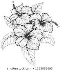 Pin On Colouring Pages I D Like To Colour