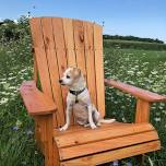Build an Adirondack Chair