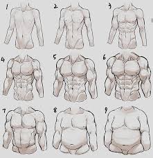 Art Tutorial On Instagram Male Body Types Artylesson Follow Artylesson For More Follow Artyless In 2020 Body Type Drawing Body Reference Drawing Male Body Drawing My ultimate guide to learn how to draw muscles for any body types! male body types