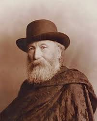 James Stephens (Fenian)