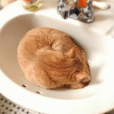 ring down the sink lazy guy diy