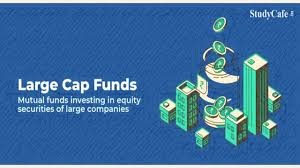 5 Best Large Cap Mutual Funds To Invest In 2022