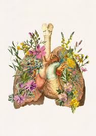 Anatomical Flower Heart Flower Lung Anatomy Art Print Gift Human Anatomy Poster Medical Art Anatomy Poster Ska099wa4 Human Anatomy Art Lungs Art Anatomy Art