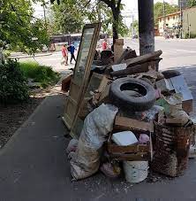 Masinile de la salubritate vor colecta deseuri vegetale rezultate din curatarea copacilor si a spatiilor verzi din jurul locuintelor. Curatenia De Primavara Sau Cum Timisoara E Invadata De Gunoaie Tion