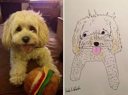 I ship portraits all over ireland and europe. I Have Never Drawn In My Life But I Am Doing Crappy Pet Portraits To Raise Money For Charity 30 Pics Bored Panda