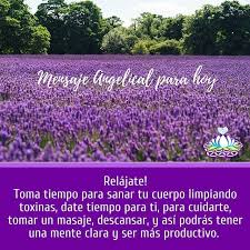 Mensajes Angelicales Angeles Arcangeles Seres De Luz Maestros Guias Angeles Guias Angeles Protectores Curso De Angeles T Instagram Tomar Periodic Table