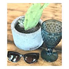 Yuccas grow throughout north america in many of the places that cacti do. Optika Panagiwtidhs In A World Of Delicate Flowers Be A Cactus Cactus Cactusphoto Sunglasses Sunglasseslover Sunglassesfashion Eyewear Eyewearshop Eyewearstyle Eyeweartrends Sunglassesphoto Guesseyewear Guesssunglasses Opticians