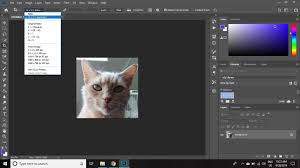 A photo with an aspect ratio of 4 by 3 is turned into. How To Crop In Photoshop