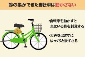 自転車の蜂の巣はどうやって駆除するの 服装や駆除剤の選び方とは 生活救急車 蜂の巣 蜂の巣 駆除 生活