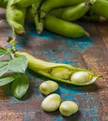 A diet rich in beans can reduce. 6 Amazing Benefits Of Lima Beans For Skin Hair And Health