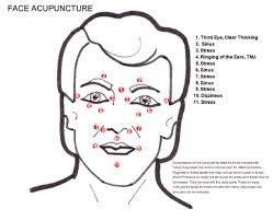 Face Acuuncture Treatment Points Are Shown