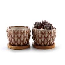 Fioriere con piante grasse decorate piantare piante grasse, piantare fiori, giardini verticali di piante grasse, coltivare i queste fioriere appese sono perfette per piante finali o piante. Fioriere Di Cactus Contenitori Vasi Di Fiori Decorativo Del Desktop Davanzale Bonsai Comsaf Vaso Per Pianta Grassa Vaso Di Piante Con Vassoio Di Bambu Verde 8 3cm Ceramica Forma Di Ananas Decorazioni Per
