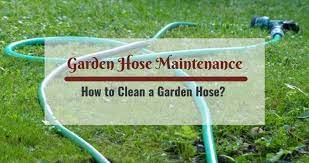 Check spelling or type a new query. How To Clean A Garden Hose Treillageonline Com