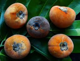 What is the bengali meaning of name anibrata? Organic Food Meaning In Bengali Organic Food