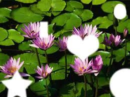 Photography photographer couples photo romance romantic white photography in this . Photo Montage Chacha Pixiz