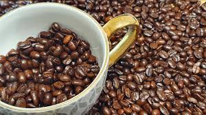 Both terms refer to species of coffee trees. Why Choose Arabica Coffee Beans Tea Coffee Accessories Shop In Poole It S Tea