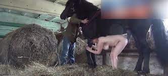 Horse fuck in stable / Zoo Tube 1