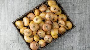 Looking for a good deal on onion storage container? You Ve Been Storing Onions Wrong Your Entire Life