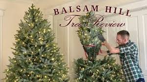 Balsam hill christmas trees for sale. Balsam Hill Tree Review Fraser Fir Realistic Artificial Christmas Trees Youtube
