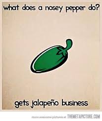 Read It Out Loud Corny Jokes Cheesy Jokes Funny Quotes