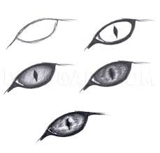 How To Draw A Realistic Kitten Cute Kitten Step By Step Drawing Guide By Duskeyes969 Dragoart Com Cat Eyes Drawing Realistic Drawings Dragon Eye Drawing