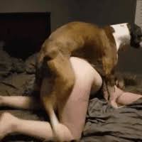 Woman And big cock dog - Bestialitysextaboo - Animal Bestiality